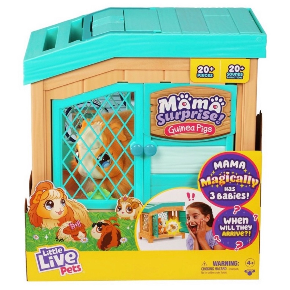 Brand New Mama Surprise